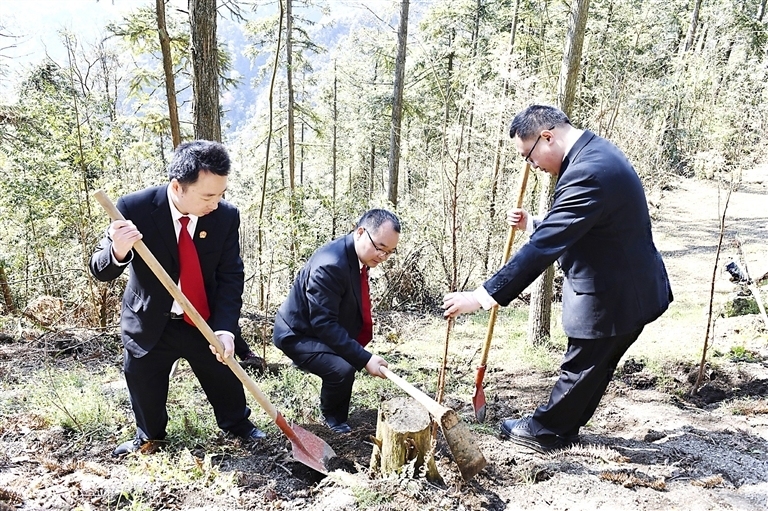 上传图片