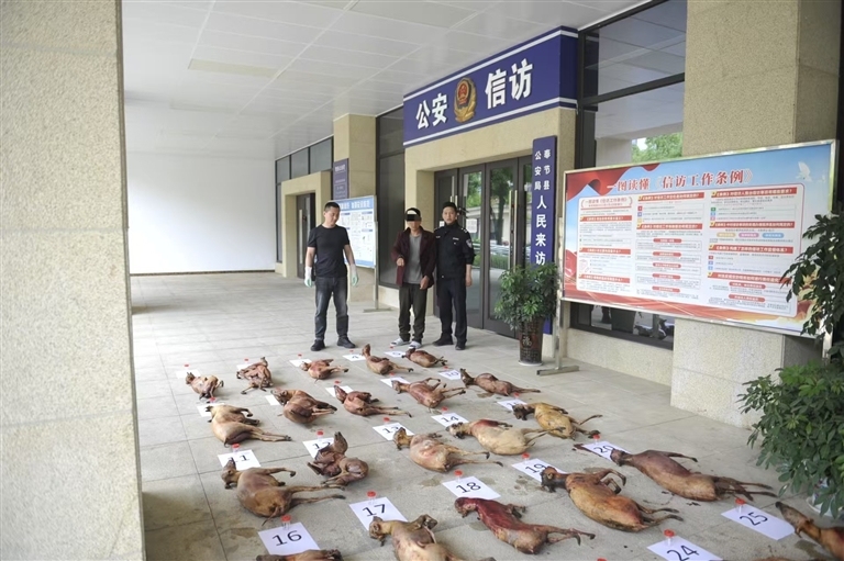 上传图片