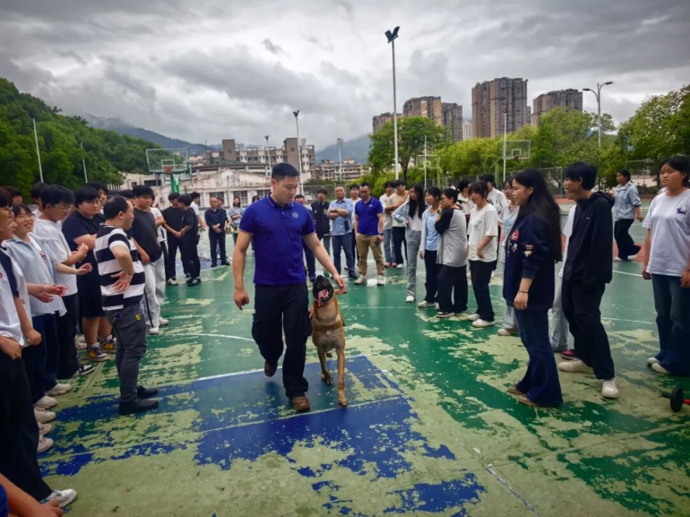 上传图片
