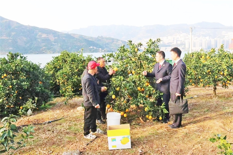 上传图片